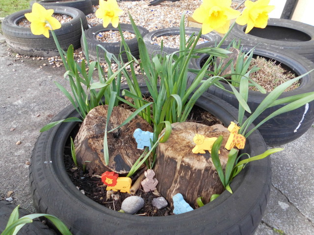 Sunbeams-nursery-daffodils